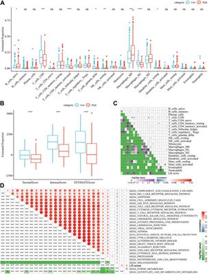 Melanoma molecular subtyping and scoring model construction based on ligand-receptor pairs